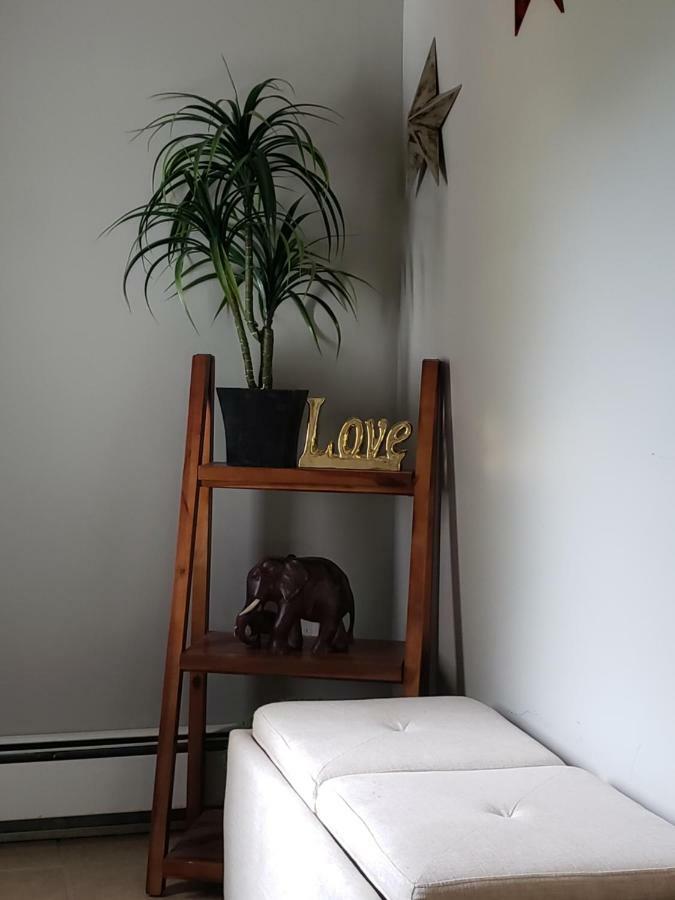 Serendib Bed And Breakfast Stratford Екстер'єр фото